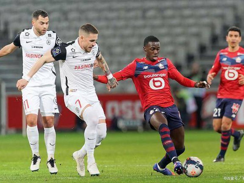 乐鱼(leyu)官网简介